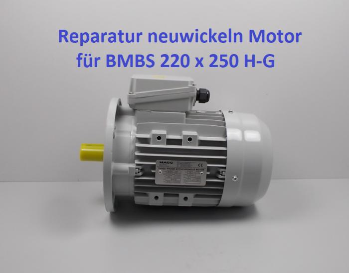 Reparatur Neuwickeln Antriebsmotor BMBS 220 x 250 H-G